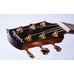 Акустическая гитара Walden D600/G
