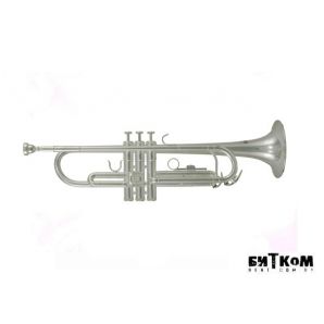 Труба Roy Benson TR-202S