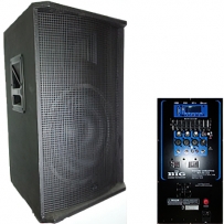 Активная акустическая система BIG DIGITAL TIREX600ACTIVE MP3/BT/EQ/FM