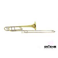 Тромбон Roy Benson ТТ-242F