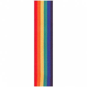 Гитарный ремень D'Addario PWS111 Rainbow