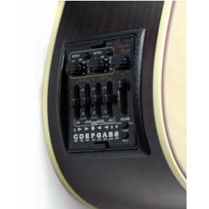 Электроакустическая гитара Takamine P5DC