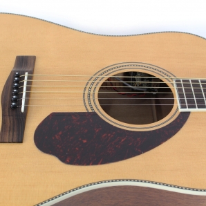 Электроакустическая гитара Fender PM-1 Standard Dreadnought (NAT)