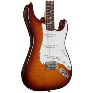 Электрогитара Fender Standard Stratocaster Plus Top RW (TBS)