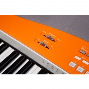 Цифровое пианино Kurzweil KA110 YP