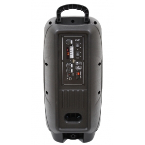 Активная акустическая система BIG BIG220ENCORE USB/MP3/FM/BT/TWS + 2pcs VHF mic