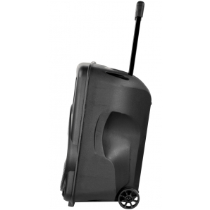 Активная акустическая система BIG BIG200BAT USB/MP3/FM/BT/TWS + 2pcs VHF mic