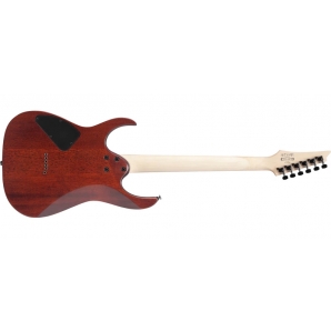 Електрогітара Ibanez RG421S SEM