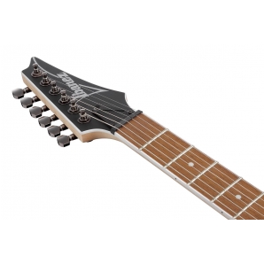 Електрогітара Ibanez RG421S SEM