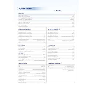 Гібридний інвертор Big HYBRID PASSIVE48V6000W