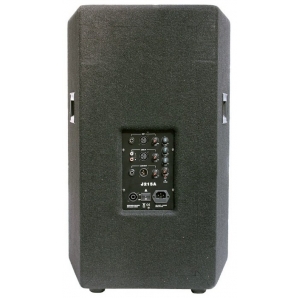 Активная акустическая система SoundKing J215A