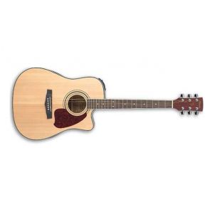 Акустическая гитара Ibanez PF60SCE NT