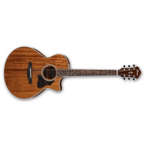 Электроакустическая гитара Ibanez AE245 NT