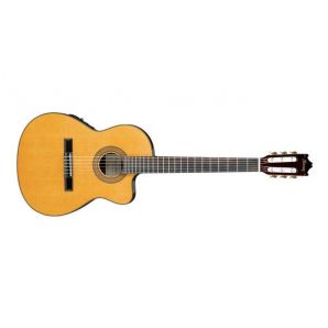 Класическая гитара с датчиком Ibanez GA5TCE (AM)