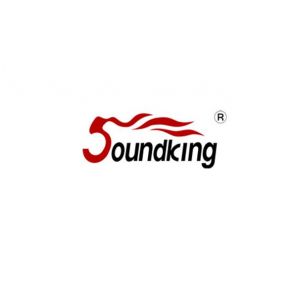 Микшерный пульт SoundKing SKAS1002A