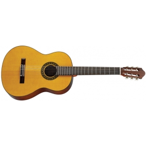 Классическая гитара Walden SN350/G