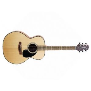 Акустическая гитара Takamine G220 (NAT)