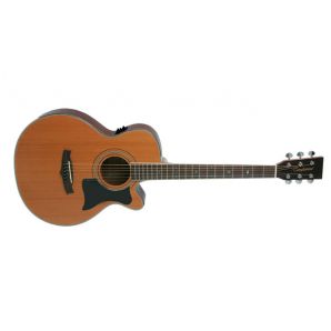 Электроакустическая гитара Tanglewood TW145 SC (NAT)