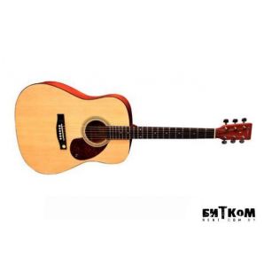 Акустическая гитара Tenson D1 (NT)