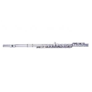 Флейта Maxtone TFC42N