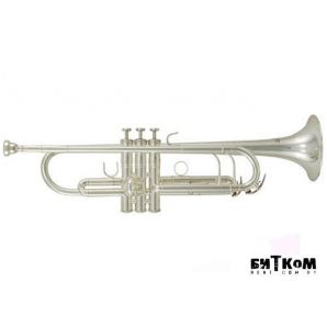 Труба Roy Benson TR-402S