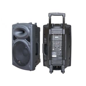 Активная акустическая система HL Audio USK-15A