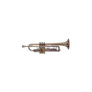 Труба Yamaha YTR-8335LA