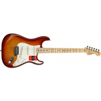 Электрогитара Fender American Professional Stratocaster ASH MN (SSB)