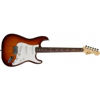 Электрогитара Fender Standard Stratocaster Plus Top RW (TBS)