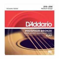 Струны для акустической гитары D'Addario EJ17 Phosphor Bronze Medium (.13-.56)