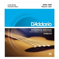 Струны для бас гитары D'Addario EPBB170 Acoustic Bass Phosphor Bronze Light 4 (.45 - .100)