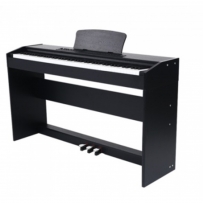 Цифровое пианино Alfabeto Vivo Black