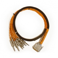 DB25 цифровой кабель Avid DB25-XLRM DigiSnake - 12'