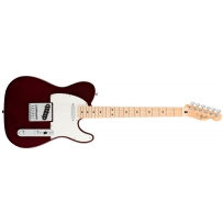 Электрогитара Fender Standart Telecaster MN (MW)