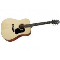 Акустическая гитара Walden Hawthorne HD220/B
