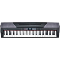 Цифровое пианино Medeli SP4000