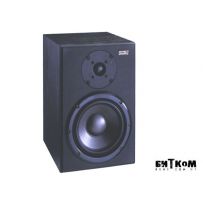 Активный студийный монитор Soundking SKMT800A