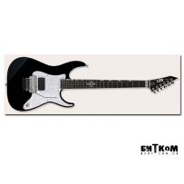 Электрогитара ESP LTD RA 600 (BLK)