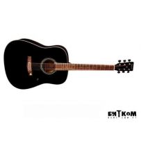 Акустическая гитара Tenson D10 (BK)